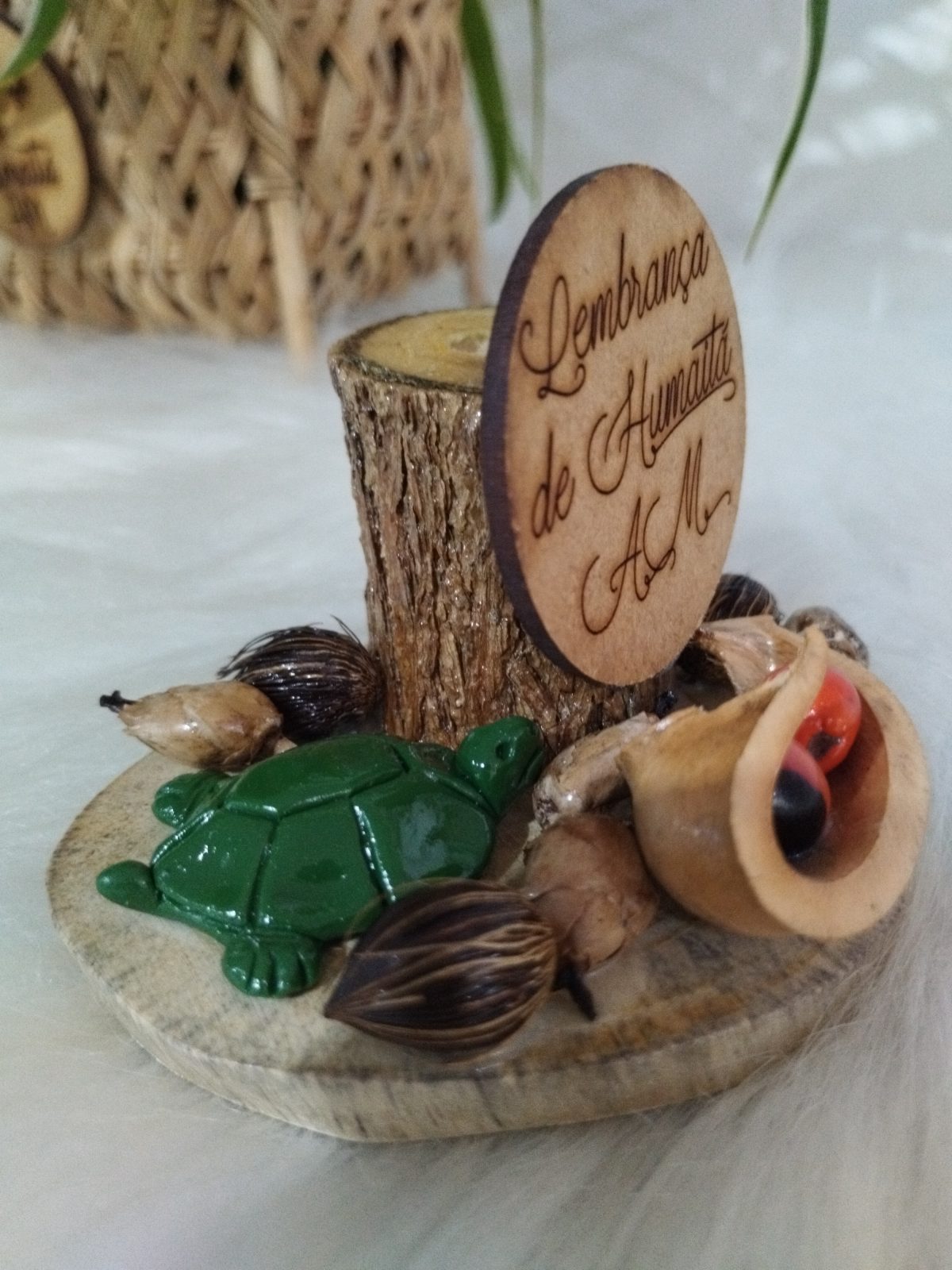 Porta-canetas com tartaruga verde, sementes amazônicas e placa de madeira gravada em detalhe aproximado