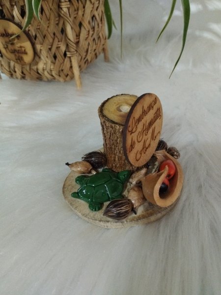 Porta-canetas de madeira com uma tartaruga verde de biscuit e sementes na base