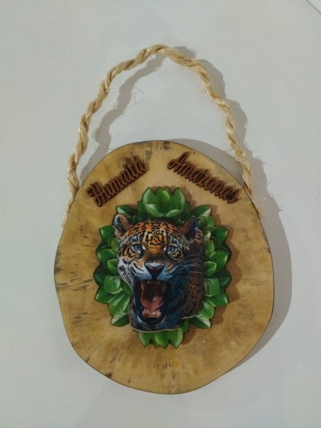 Placa de madeira com onça-pintada em relevo, folhas verdes e nomes Humaitá e Amazonas