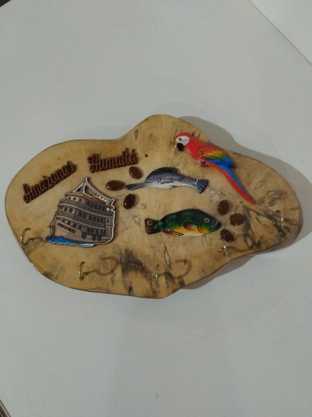 Porta-chaves rústico com frase Lembranças Humaitá, arara, peixes, sementes e ganchos